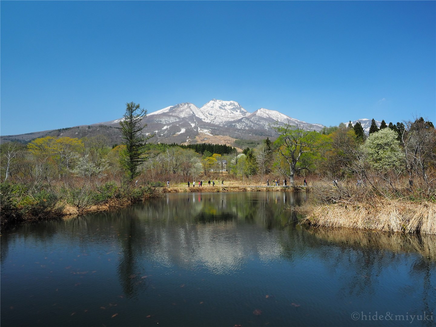 【新潟の絶景】いもり池に行ってきました！いもり池越しの妙高山と黒姫山の景色は素晴らしかったです…