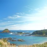 【静岡の絶景】水仙、青空、青い海…下田の絶景「爪木崎」についてまとめてみます！