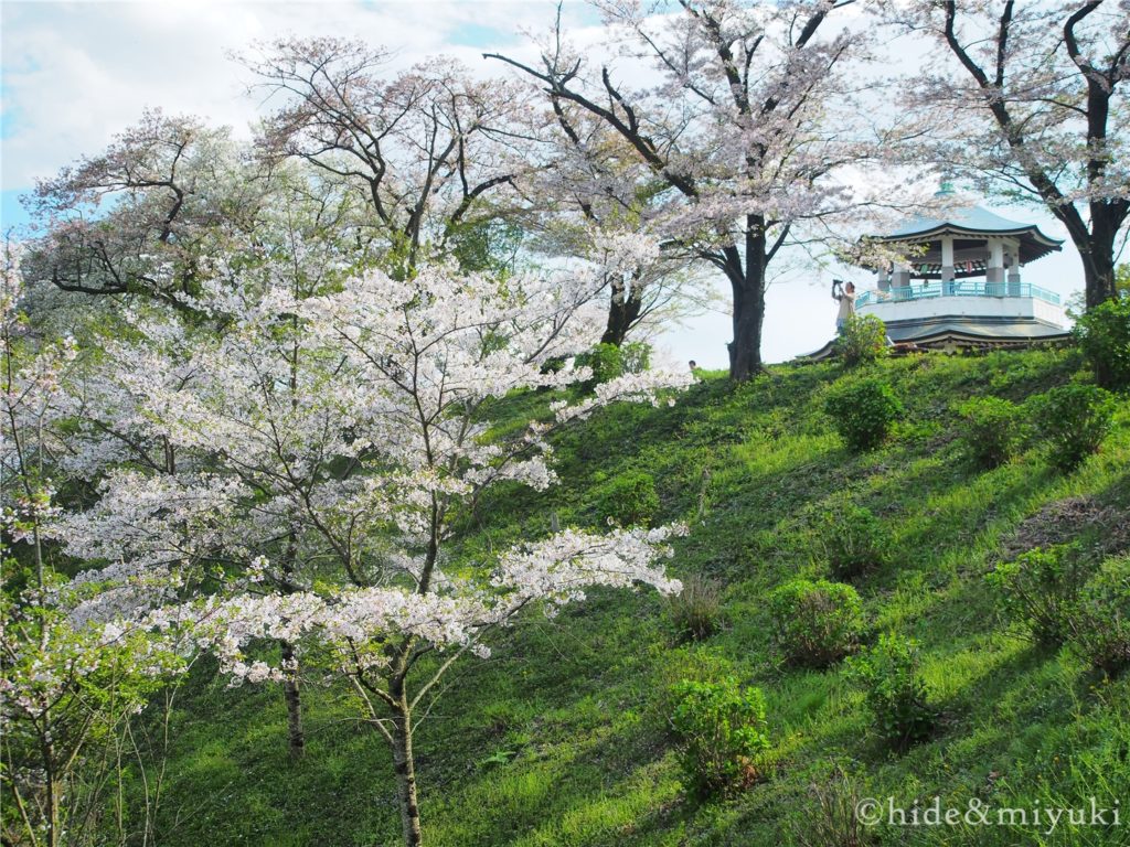 【神奈川の散策スポット】春の「弘法山公園」に遊びに行ってきました！うっすらと桜も咲いていていい感じ。