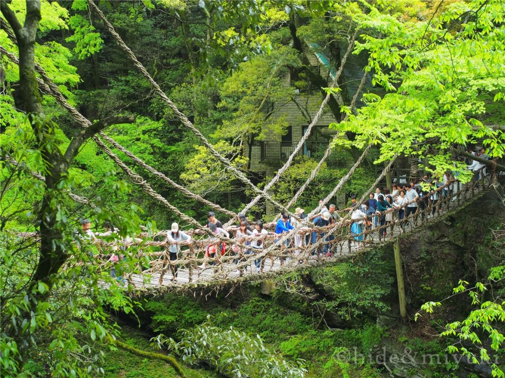 【徳島の絶景】「祖谷のかずら橋」ちょっと観光していくのには丁度いいスポットでした！