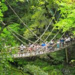 【徳島の絶景】「祖谷のかずら橋」ちょっと観光していくのには丁度いいスポットでした！